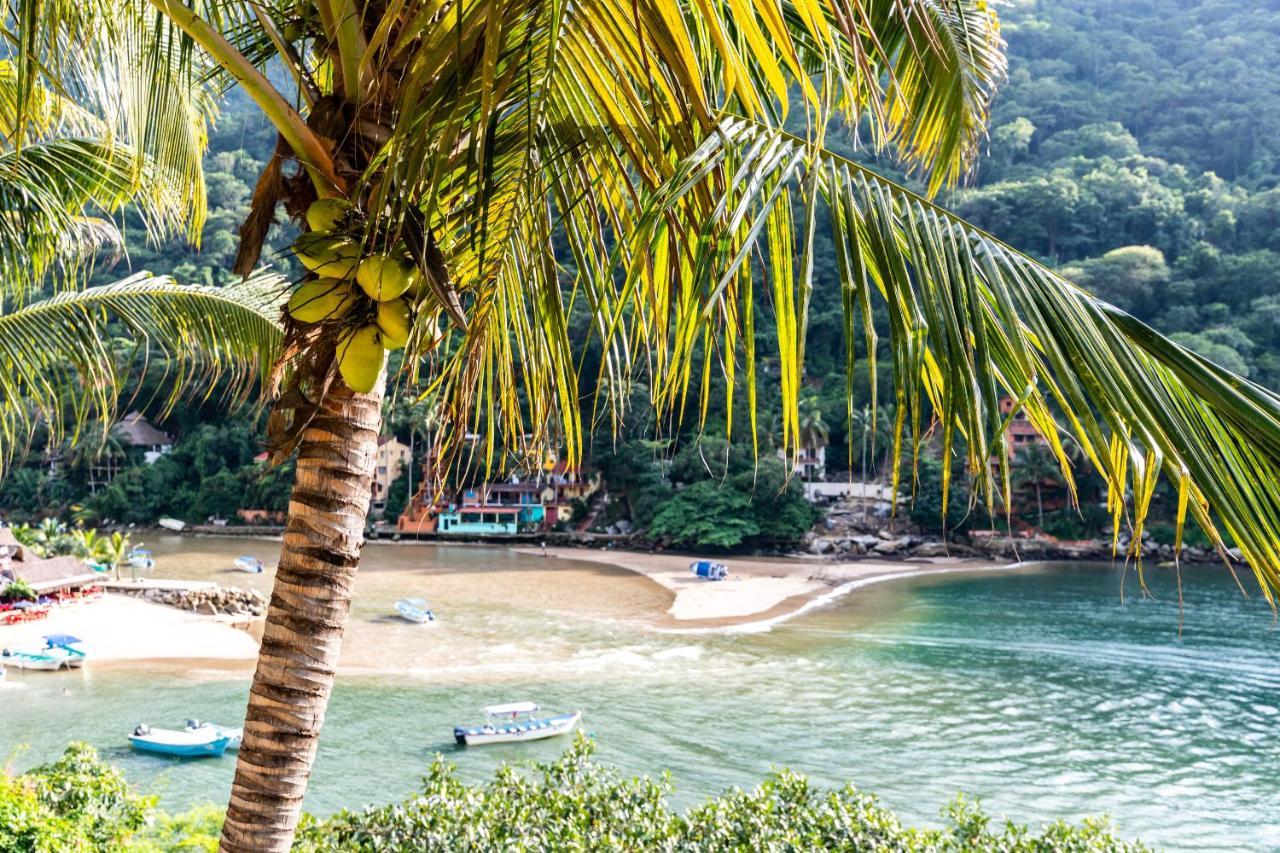 Boca De Tomatlan Luxury Boutique Hotel Accommodations Puerto Vallarta Bagian luar foto